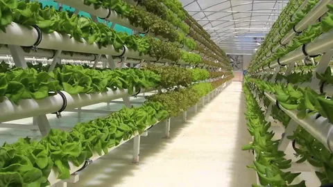 قیمت مناسب + فروش استثنایی قفسه فلزی گلخانه